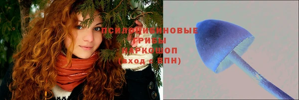 спайс Алексин