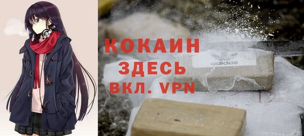 спайс Алексин